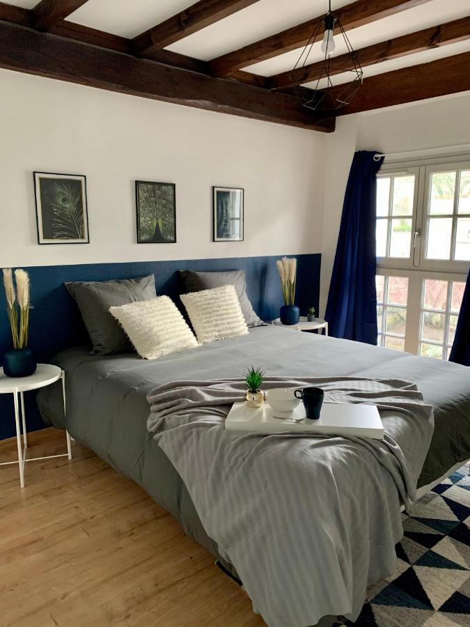 Appartement Les Bleuets - Centre Ville De Saumur Luaran gambar