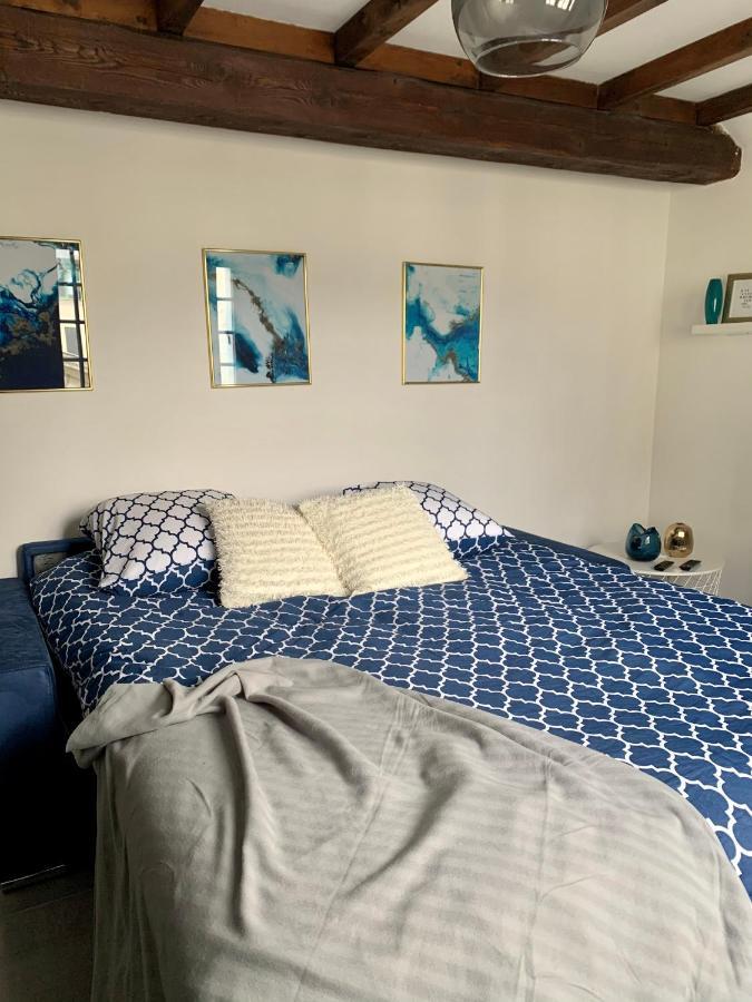 Appartement Les Bleuets - Centre Ville De Saumur Luaran gambar